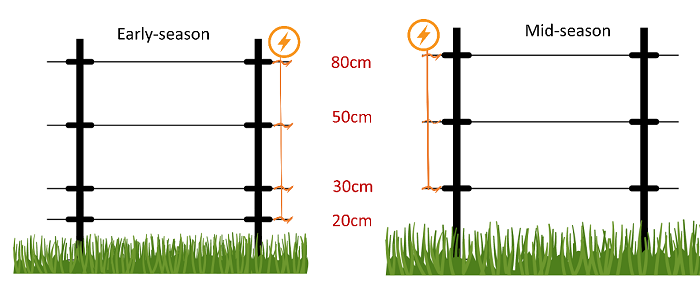 recommended heights for 3 and 4 strand poly wire