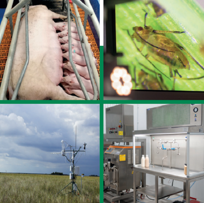 Teagasc Research Impact Highlights in 2022