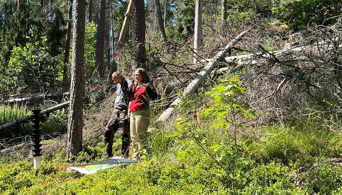 researchers showing a patch of deadwood