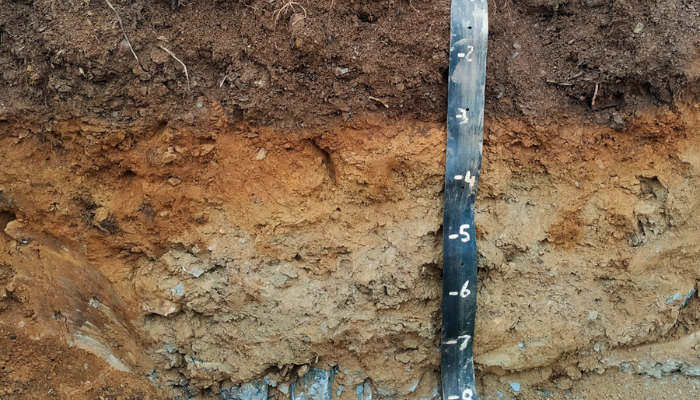 Between a rock and a hard place