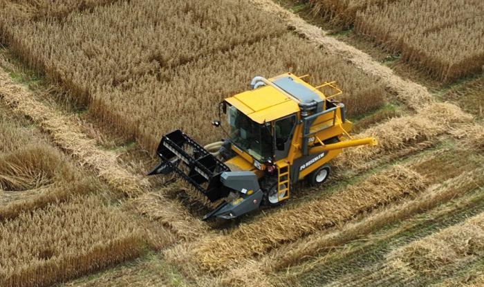 TResearch Summer 2024