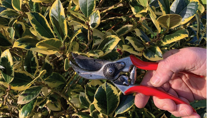 Gardening tools: Think before you buy