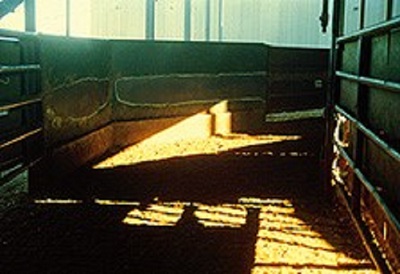 Shadows or poor light at the entrance to shed will discourage animals from entering