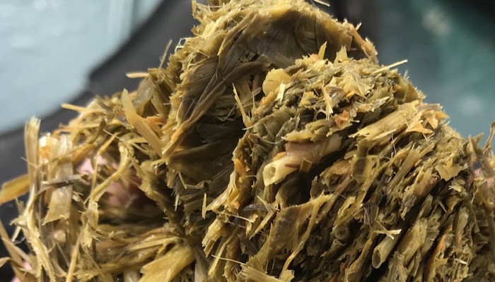 How good is your silage this winter?
