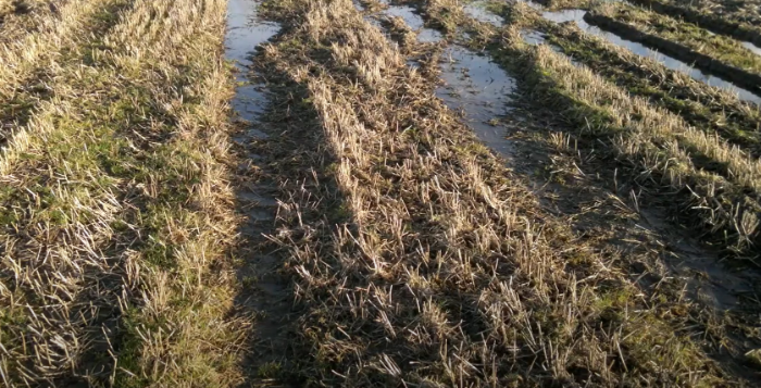 Soil compaction