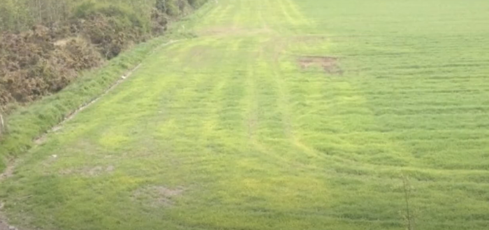 The visual difference between compacted soil versus non-compacted soil