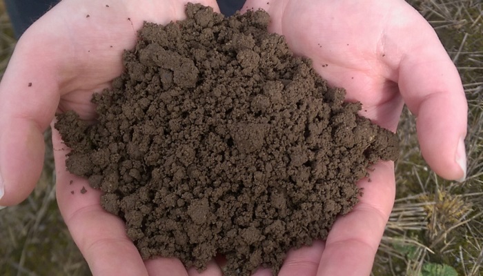 A picture of soil in hand