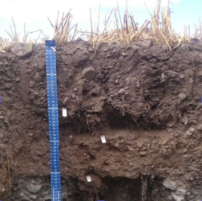 Soil Plough Pan
