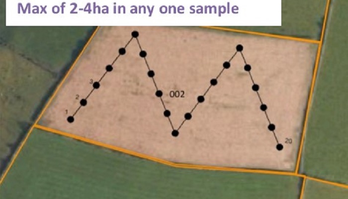 The importance of taking a proper soil sample