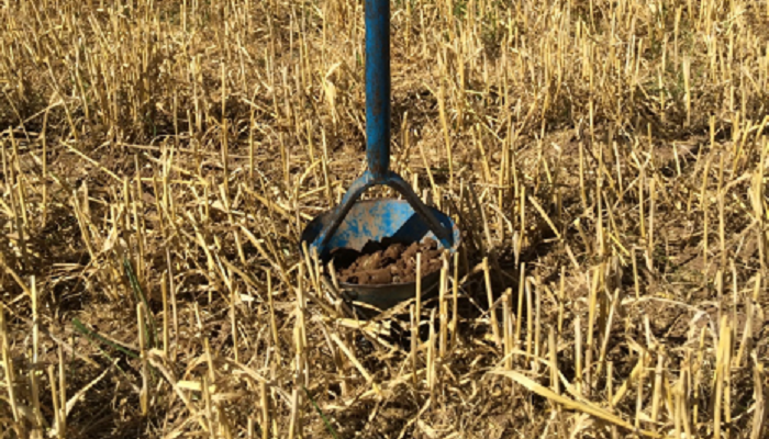 Nutrient management planning for 2025