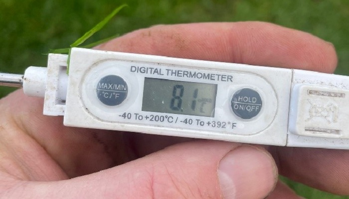 soil thermometer