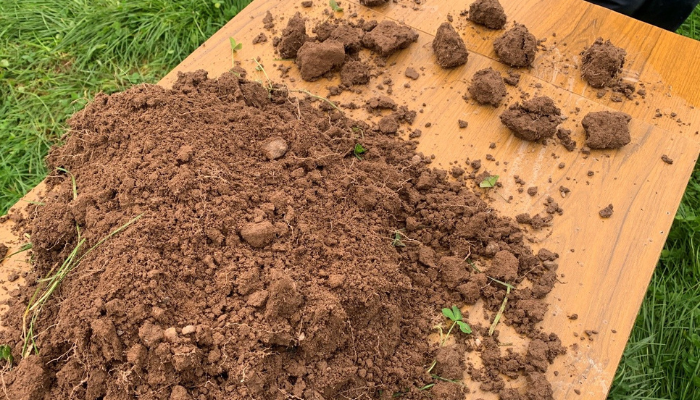 soil on walsh farm walk