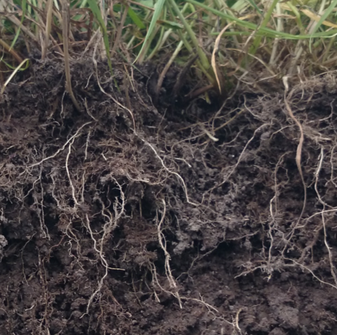 Well formed soil