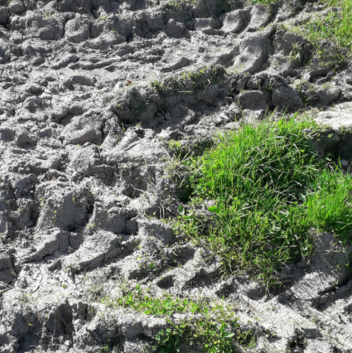 Soil with tyre tracks