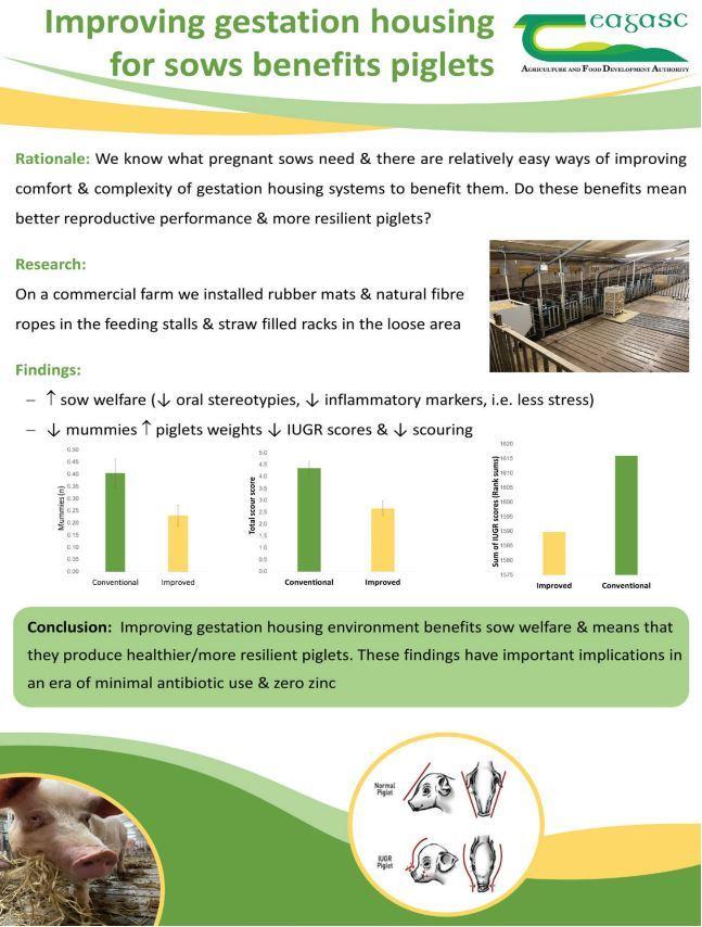 sow housing poster details in text