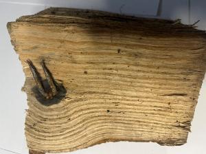 split firewood log of ash