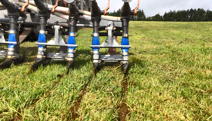 Capturing More N from Cattle Slurry