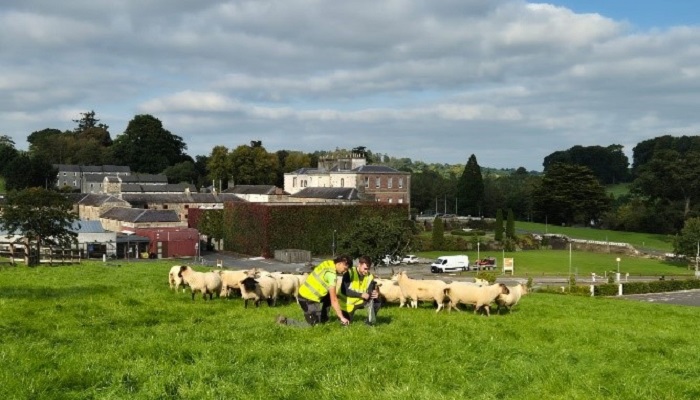 The benefits of the Teagasc Green Cert in improving farm performance