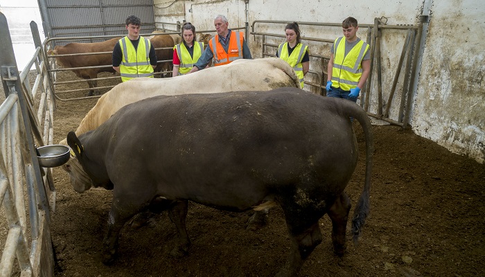 New farming apprenticeships are open for applications