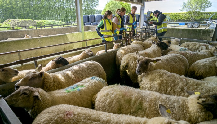 The Green Cert - a course with many benefits