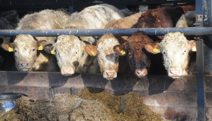 Supporting farmers through this difficult period