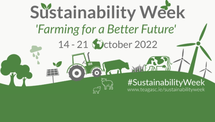 First steps to achieving our emissions reduction target - Webinar on Friday, 14 October at 9.30am