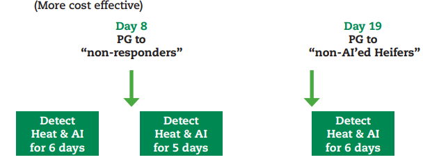 Display purposes only, full details of the programme are available in table 2 below