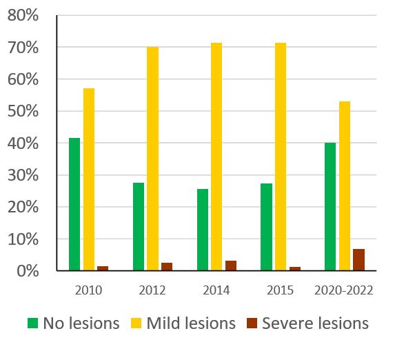 Prevalence of lesion severity on carcase tails observed during slaughterhouse inspections between 2010 and 2022, explained in text