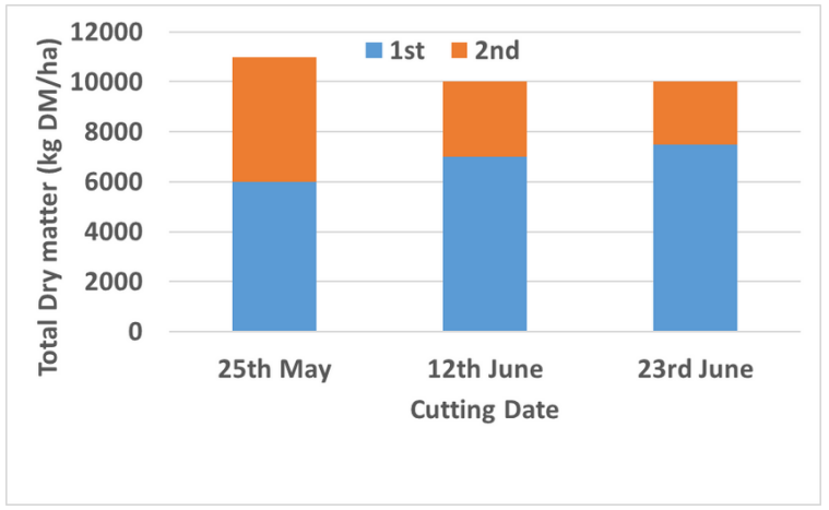 total dry matter per year based on dates of silage harvest