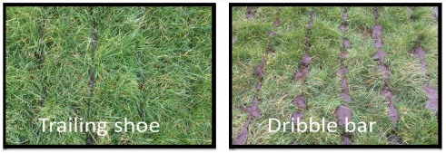 Examples of slurry spread by trailing shoe on the left hand side and dribble bar on the right