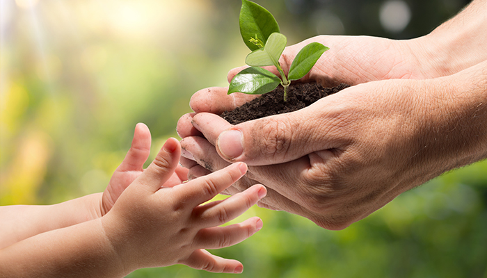 ABCDE of Transferring the Family Farm