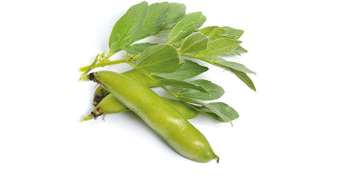 Unlocking protein potential in Ireland