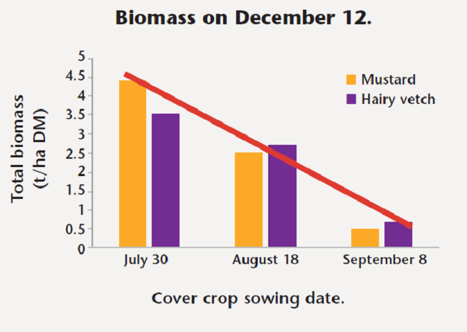 Bar graph showing variation in cover crop biomass production by sowing date; later sown crops produce lower yields