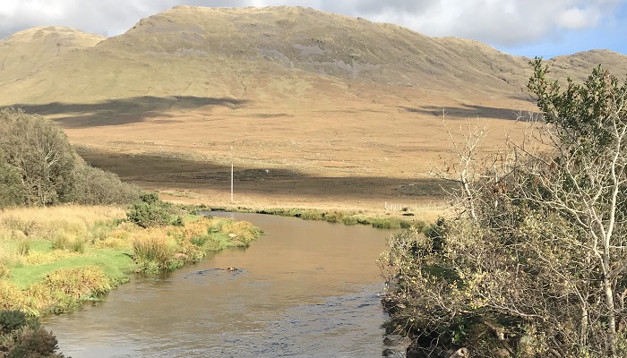 Celebrating World Wetlands Day - the role of wetlands and human wellbeing
