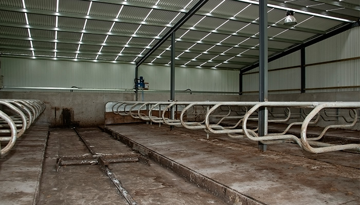 Preparing for housing on dairy farms
