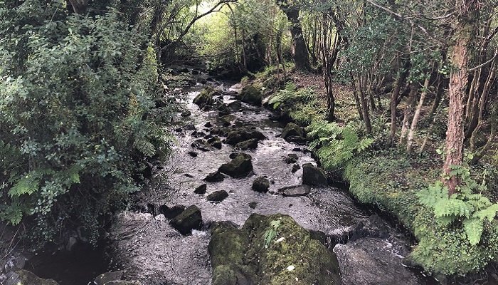 Enabling farmers to implement 8 Actions for Change to protect and improve water quality