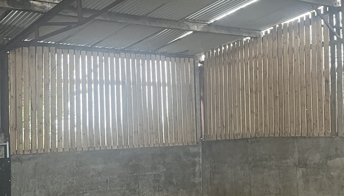 yorkshire boarding on Peter Byrnes shed