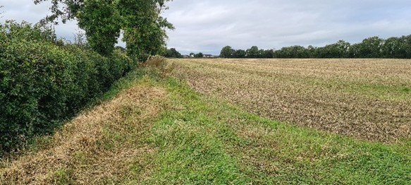 A 3m buffer strip adjoining a water course on Vincent Mackens farm