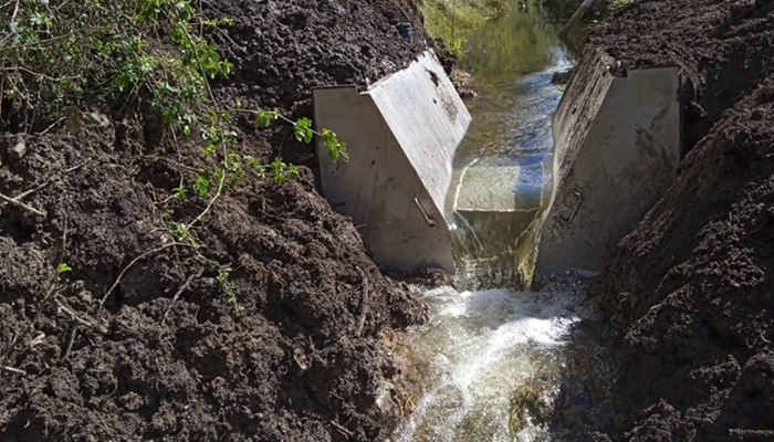 Cover image for Slowing the flow to boost carbon storage at Gurteen College article
