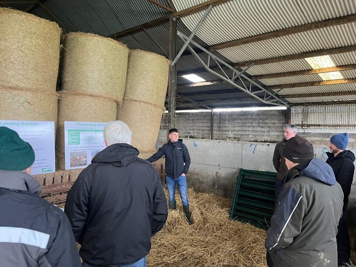 Adam Harney presenting pre lambing nutrition advice on the farm of Gerard Delaney