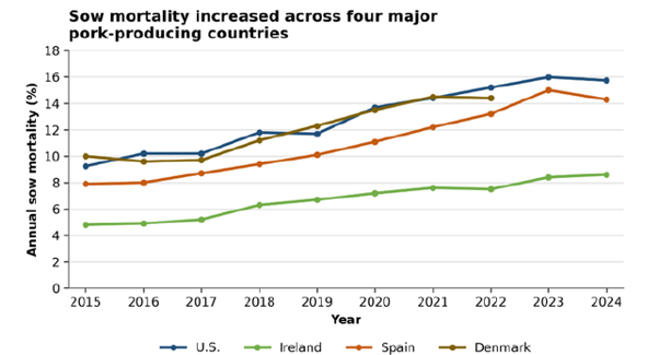 Line chart tracking annual sow mortality (%) across four pork-producing countries, 2015–2024. Blue US and orange Spain lines rise sharply, US peaks near 16% in 2023 before a slight dip, brown Denmark levels around 14–15%, while green Ireland remains lowest, increasing from about 5% to 8.5%.