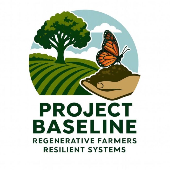 Cover image for Exploring a new BASELINE for Irish agriculture article