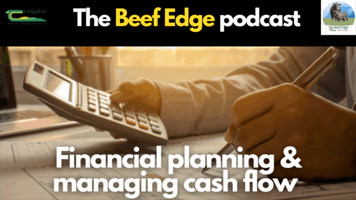 Financial planning and managing cash flow for the rest of the year