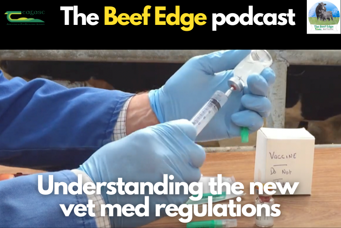 Understanding the new vet med regulations