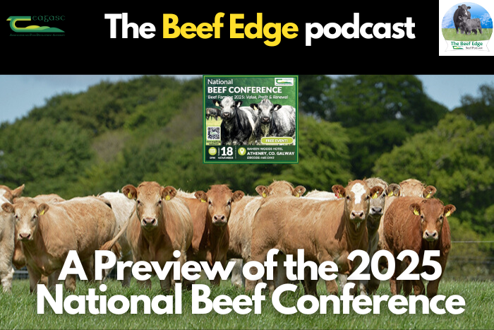 Listen: A Preview of the 2025 National Beef Conference