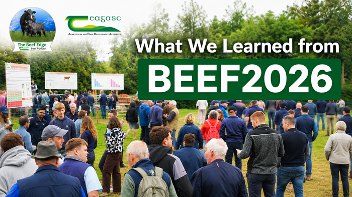 Cover image for What we learned from BEEF2026 article