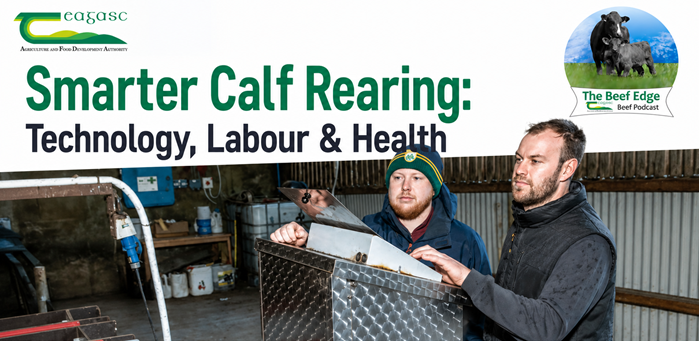 Cover image for Smarter calf rearing: Technology, labour and health article