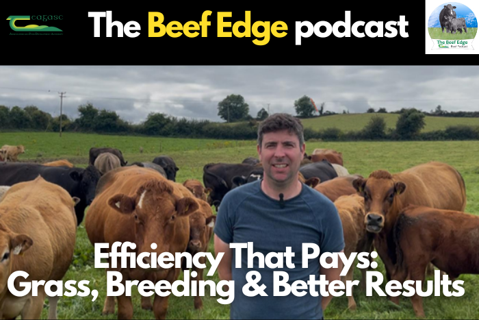 Efficiency that pays: Grass, breeding and better results with John Barry