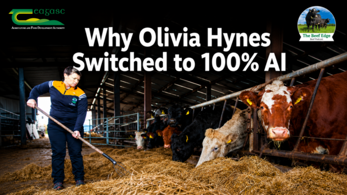 Why Olivia Hynes Switched to 100% AI