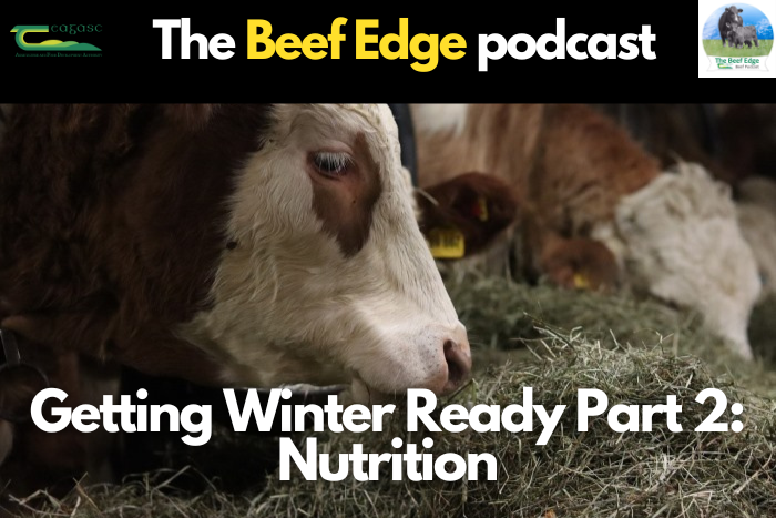 Getting Winter Ready Part 2: Winter Nutrition